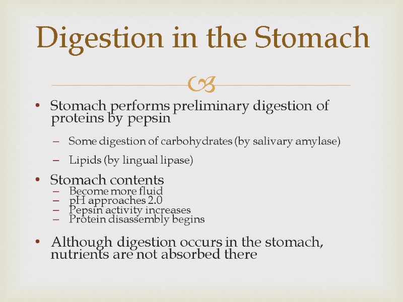 Stomach performs preliminary digestion of proteins by pepsin  Some digestion of carbohydrates (by